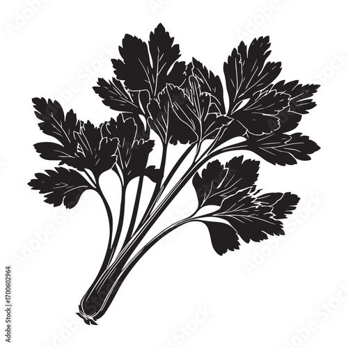 Celery vector silhouette.