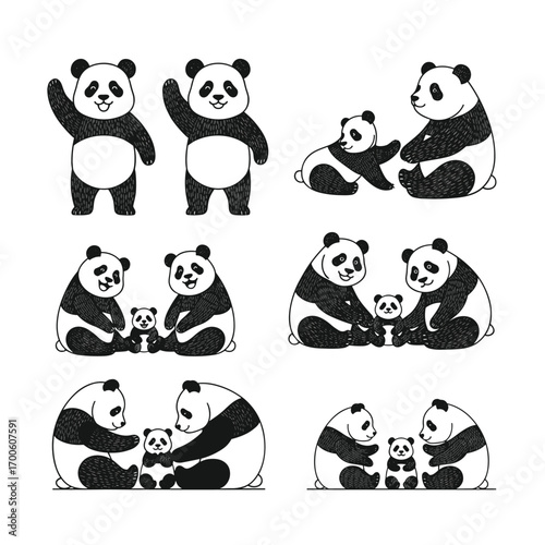 Adorable panda family poses a cute collection of bamboo bear illustrations