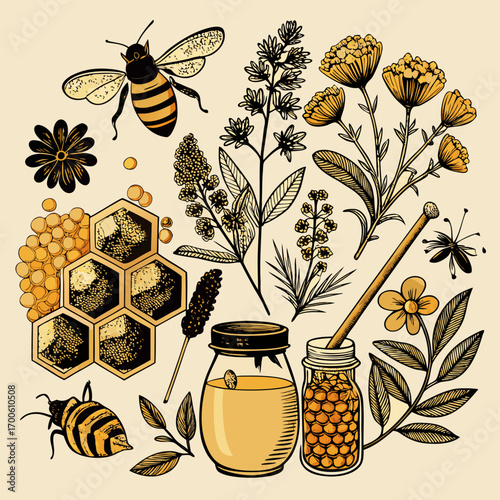 Vintage botanical illustration style bee honeycomb nature elements vector vector