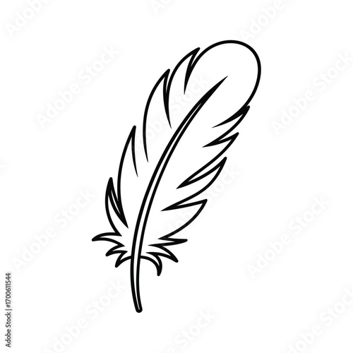 Simple outline drawing of a single feather on a white background