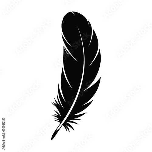 Black feather silhouette isolated on white background
