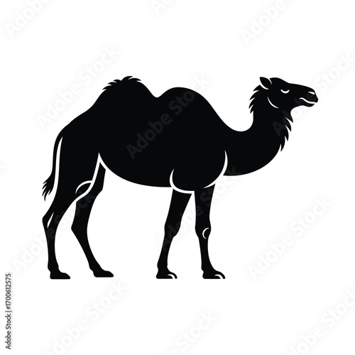 Black silhouette of a dromedary camel standing against a white background