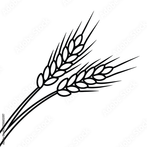 Simple outline drawing of two wheat stalks on white background