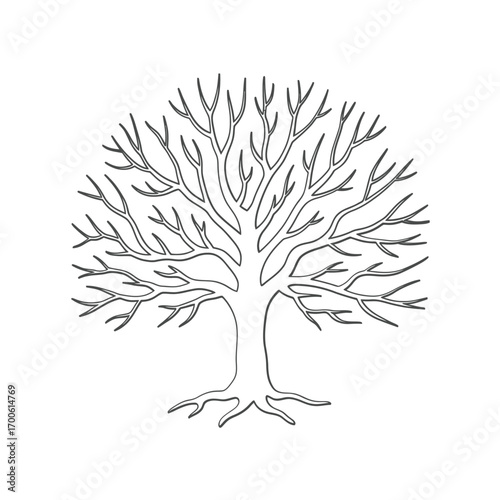 Stylized bare tree with intricate branches and visible roots