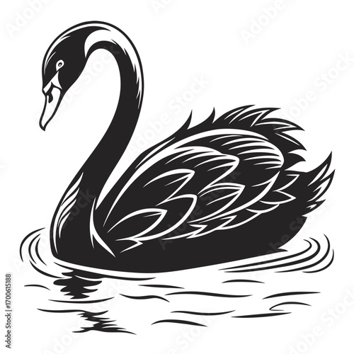Elegant black swan with detailed feathers gracefully swimming on rippling water in a stylized black and white illustration
