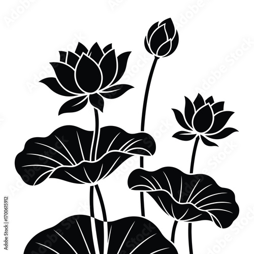 Black and white silhouette of blooming lotus flowers and leaves