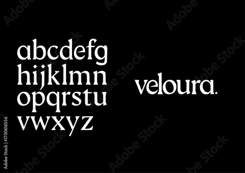A refined serif that blends graceful curves with bold precision, evoking luxury and modern elegance.