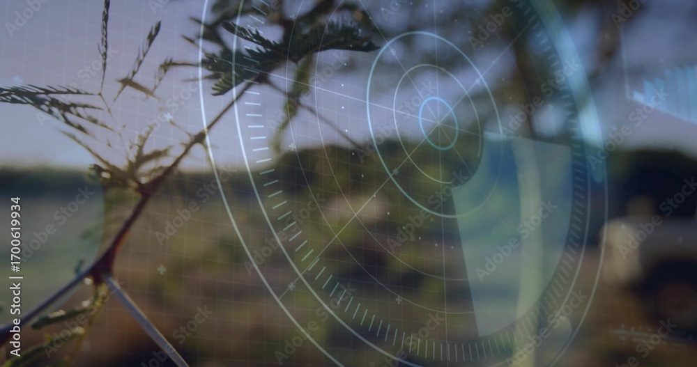 Fototapeta premium Displaying slender tree branch carrying leaves over rural field, with HUD overlay and grid lines