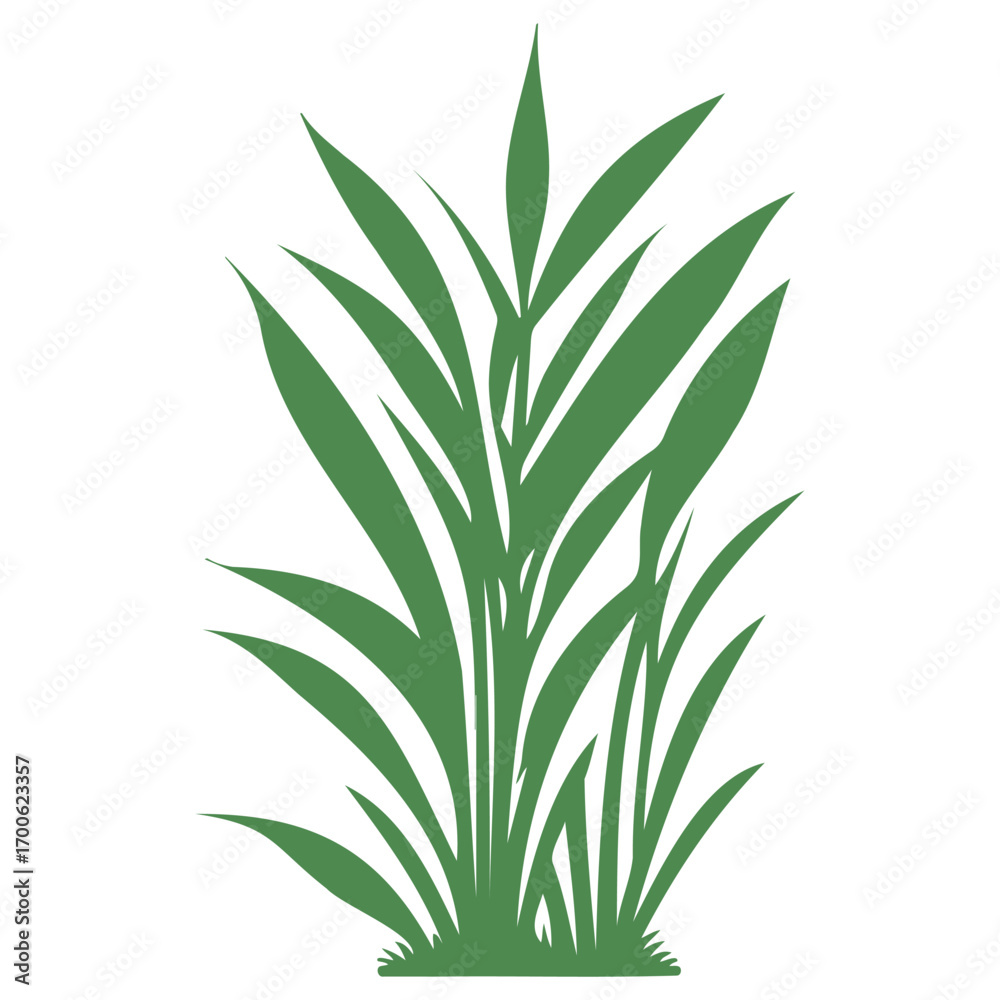 Obraz premium grass garden illustration green