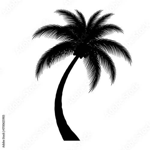 silhouette of palm trees