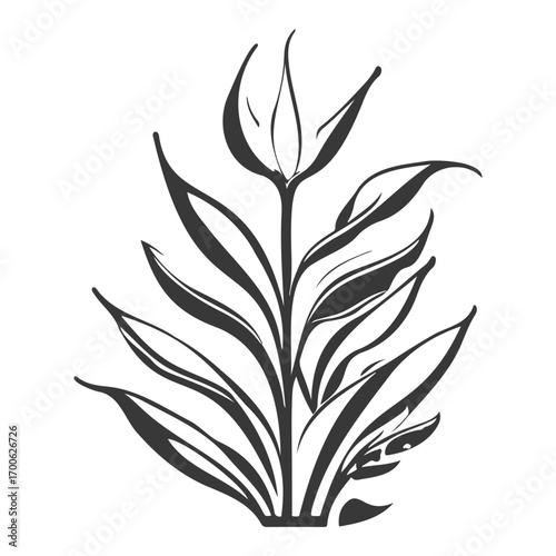 aloe flower illustration grey