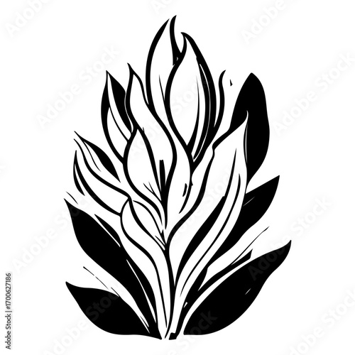 aloe flower illustration sketch