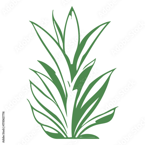 aloe flower illustration green