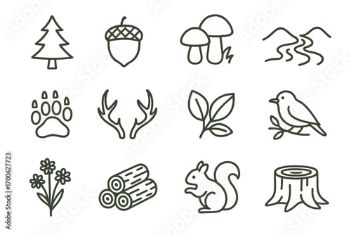 Forest Nature Icons. Line style icons of forest nature: pine tree, acorn, mushrooms, river stream; bear paw print, deer antlers,