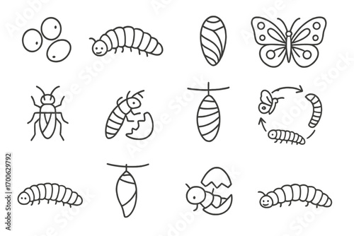 Insect Life Cycle Icons. Line style icons of insect life stages: egg, larva, pupa, adult butterfly; nymph, molting insect, cocoon,