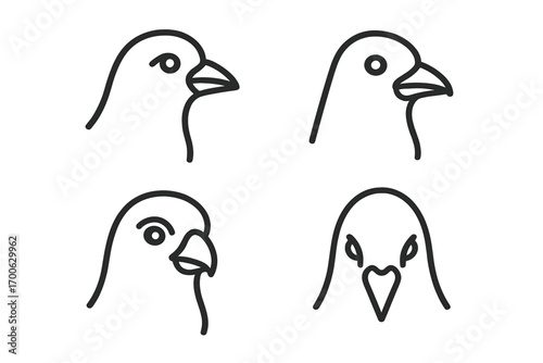Bird Head Line Icons. Line style icons of turned bird heads: left profile, right-facing bird, ¾ view face, top-down view; beak