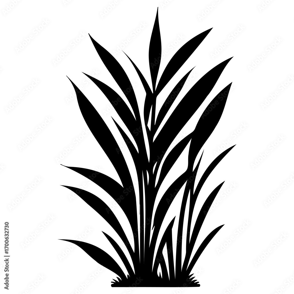 Fototapeta premium grass garden illustration sketch hand draw