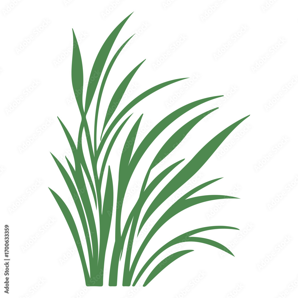 Fototapeta premium grass garden illustration green