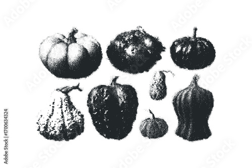 Set of assorted gourds and pumpkins on transparent background. Vector hand drawn illustration