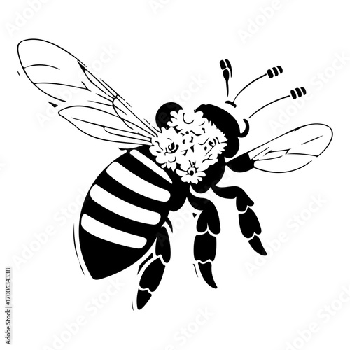 Bee on flower spring illustration sketch hand draw