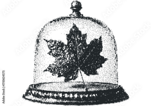 Vintage Maple Leaf Under Glass Dome Image. Vector hand drawn illustration