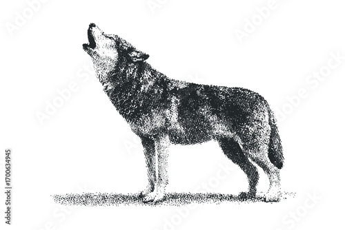 Wolf howling on transparent background image. Vector hand drawn illustration