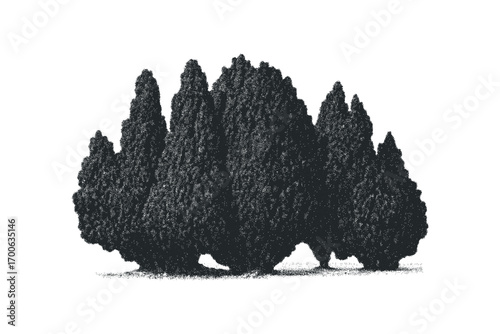 Group of evergreen trees rendered in stippled texture on white. Vector hand drawn illustration
