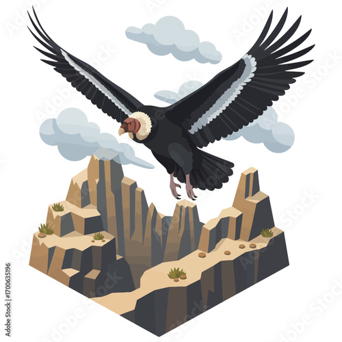 Isometric Vector Illustration of Andean Condor flying over mountains, large wingspan, scavenger bird, endangered species, wildlife