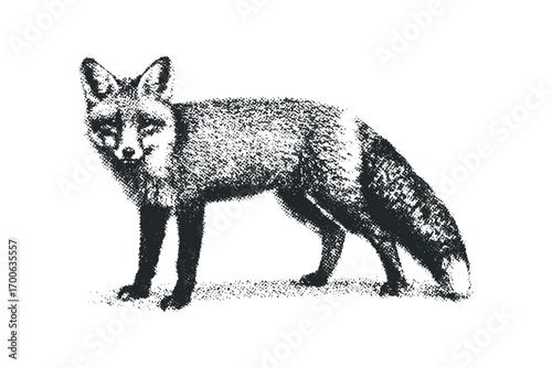 Stippled Fox Image on Transparent Background. Vector hand drawn illustration