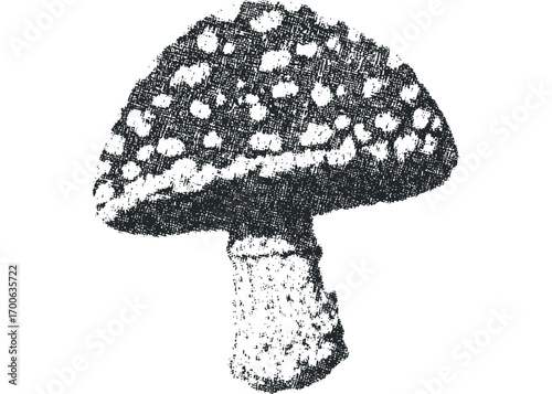 Textured mushroom graphic on white transparent. Vector hand drawn illustration