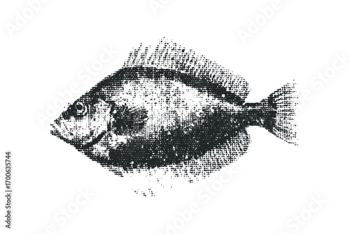 Monochromatic fish silhouette with textured surface on transparent background. Vector hand drawn illustration
