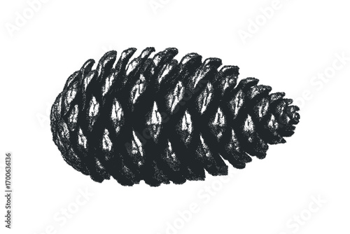 Stippled pinecone isolated on white. Vector hand drawn illustration