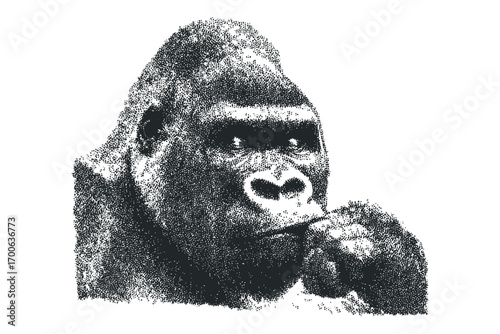 Gorilla face portrait stippled ink isolated on white. Vector hand drawn illustration
