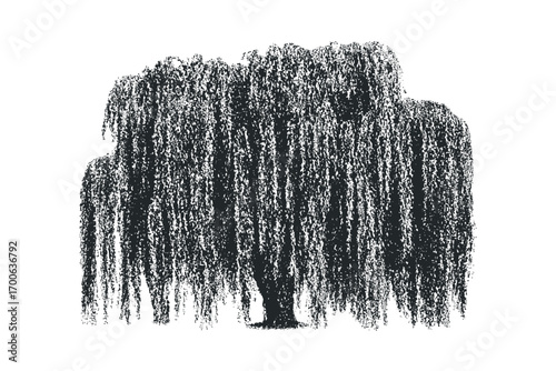 Black textured weeping willow tree in a stippled silhouette. Vector hand drawn illustration
