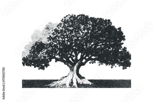 Large stippled tree with exposed roots and dense foliage. Vector hand drawn illustration