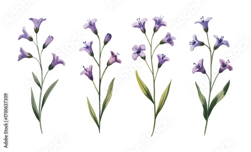 Purple watercolor wildflower stems with green leaves isolated.