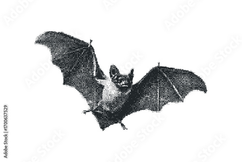 Halftone bat silhouette flying with spread wings. Vector hand drawn illustration