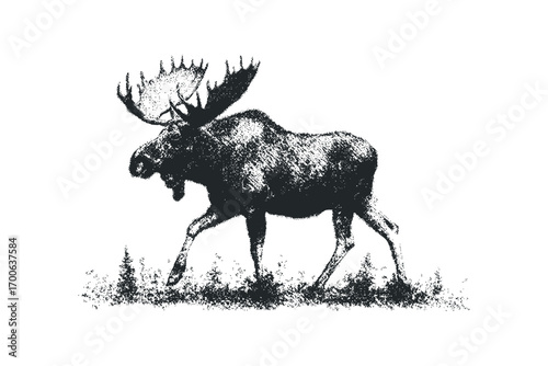 Monochromatic Stag Silhouette on Transparent Background. Vector hand drawn illustration