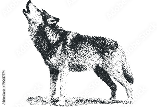 Wolf howling on transparent background. Vector hand drawn illustration