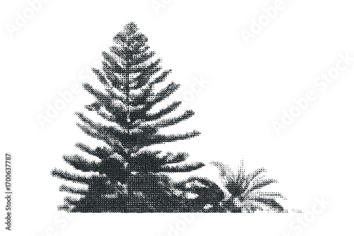 Coniferous tree and plant rendered in halftone dots on transparent background. Vector hand drawn illustration