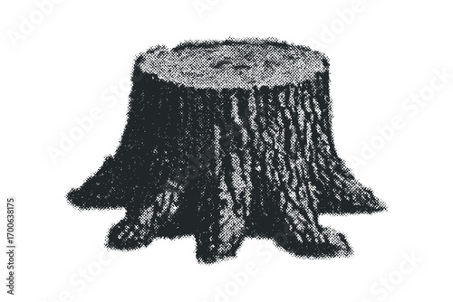 Stump of a tree with roots detailed texture on transparent background. Vector hand drawn illustration