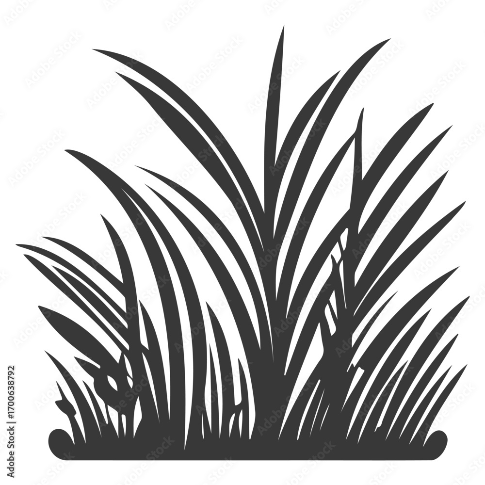 Obraz premium grass garden illustration grey