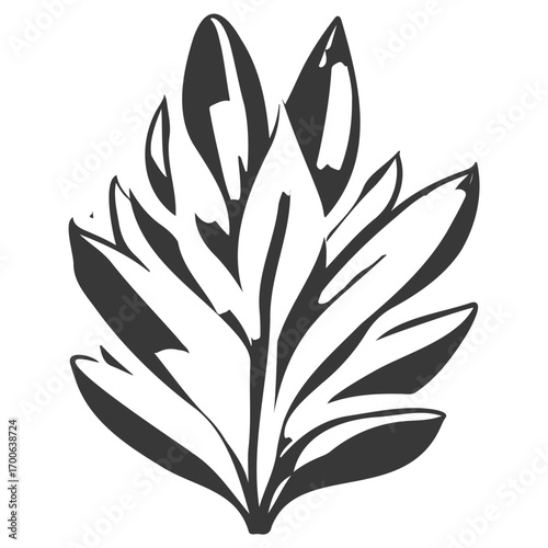 aloe flower illustration grey