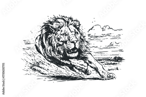 Majestic Lion Sprinting on Savannah Plain, Grunge Sketch Style. Vector hand drawn illustration
