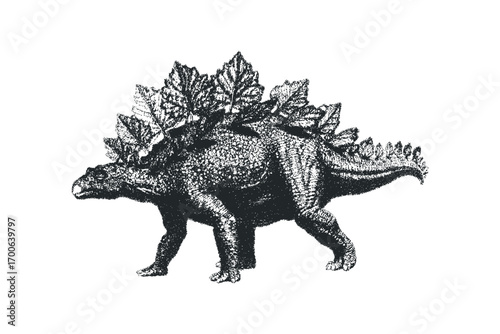 Stegosaurus dinosaur with leafy plates on white background,. Vector hand drawn illustration