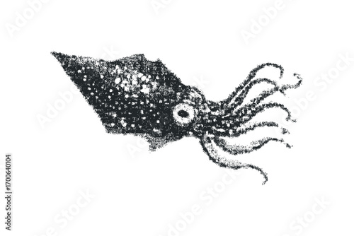 Textured Squid on Transparent Background. Vector hand drawn illustration