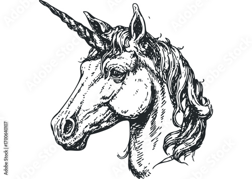 Sketch of a mythical unicorn head with flowing mane and spiral horn on a transparent background. Vector hand drawn illustration