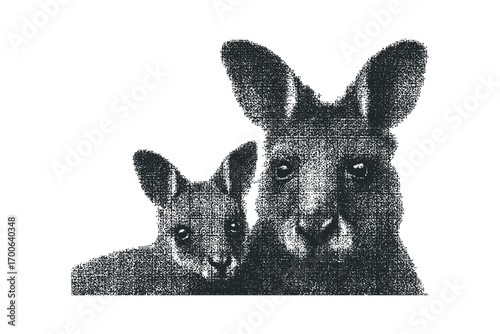 Kangaroo and joey family portrait, textured stipple effect. Vector hand drawn illustration
