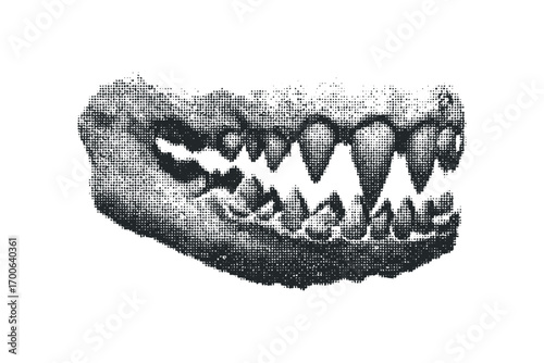 Mammal Jaw with Sharp Teeth Halftone Effect. Vector hand drawn illustration