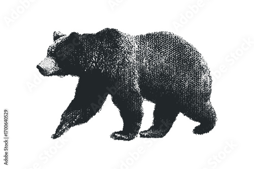 Black bear walking, textured, isolated on transparent. Vector hand drawn illustration